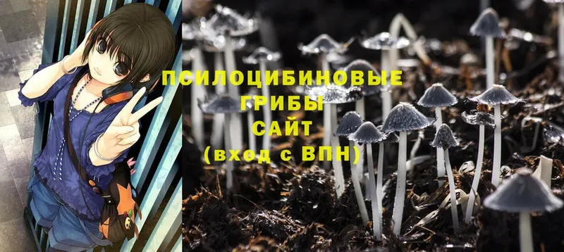 Галлюциногенные грибы MAGIC MUSHROOMS  МЕГА ТОР  Починок 